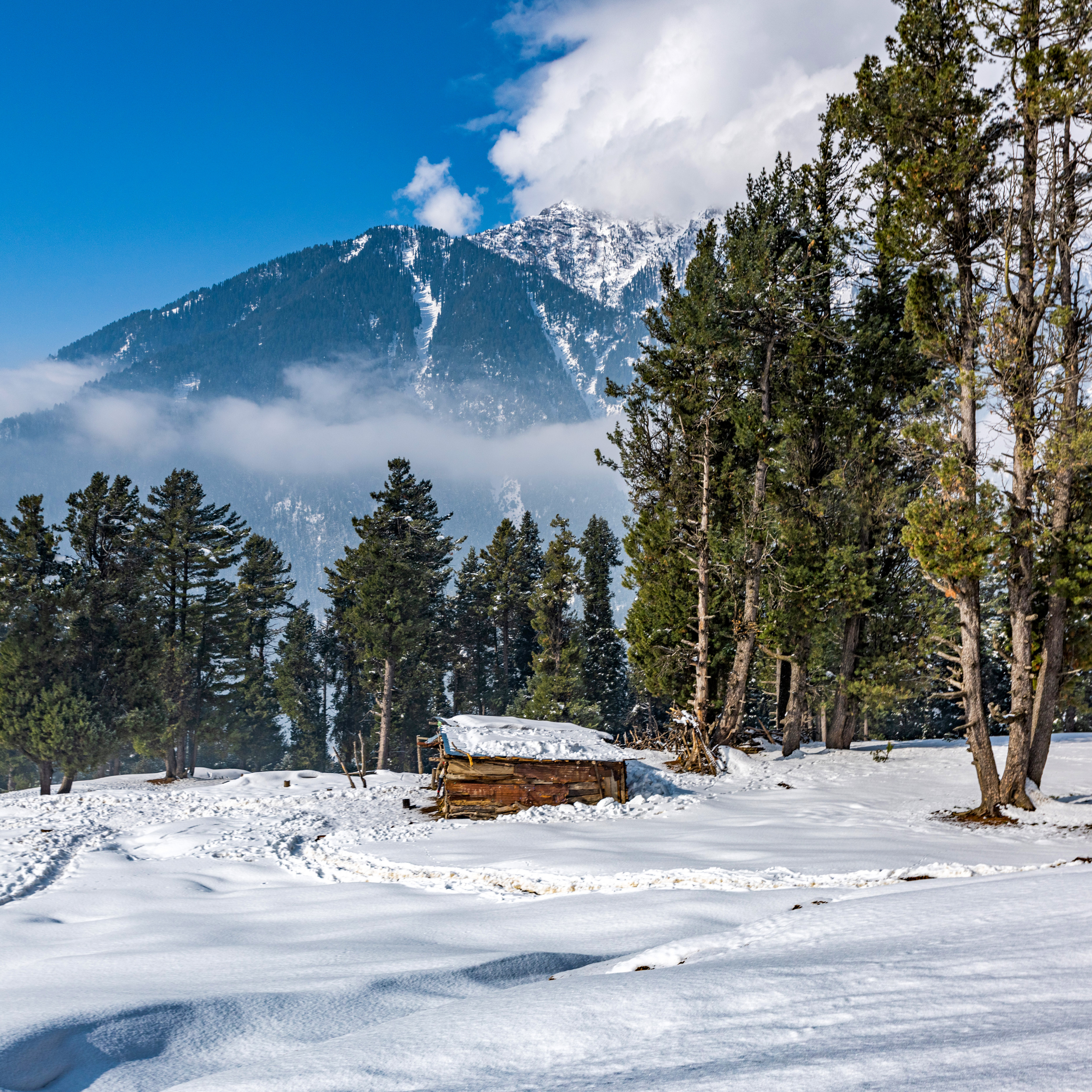 Pahalgam Tour Package